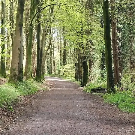 Casa vacanze Dearg House Luxury Monaghan